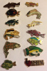 Lot of 12 Different Fish Hat and Lapel Pins